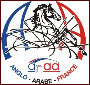 logo_Anaa