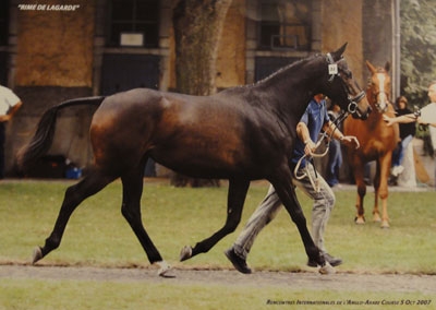 Rime de Lagarde au concours de Tarbes