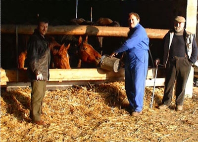 L'élevage d'Airy, en Lorraine, chez Claude-Yves Pesly