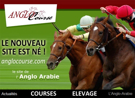 anglocourse_nouveau_site