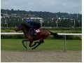 breeze up Deauville breeze up Deauville